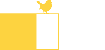Birds And Me