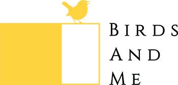 BirdsAndMe
