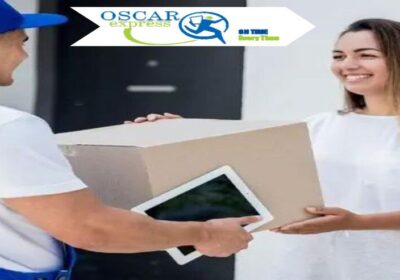 Fast-International-Courier-Servi-1