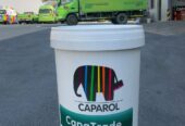 Buy High Quality Interior & Exterior Paints in Lebanon from Caparol!