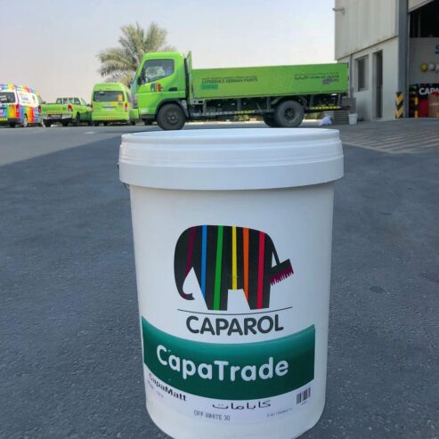 Buy High Quality Interior & Exterior Paints in Lebanon from Caparol!