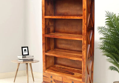 Shop-Now-Bookshelf-with-Doors-Sonaarts-1