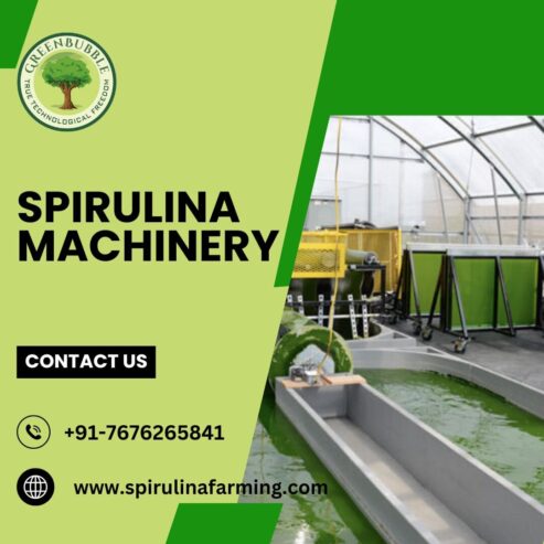 Large Scale Spirulina Cultivation by Green Bubble Algal Works