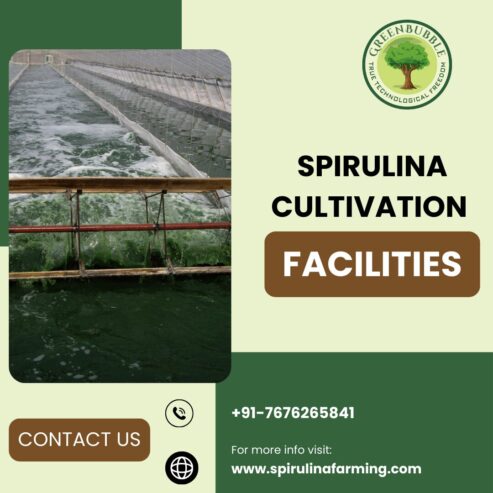 Large Scale Spirulina Cultivation by Green Bubble Algal Works