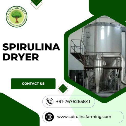 Sustainable Spirulina Cultivation with Green Bubble Algal Works