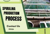 Large Scale Spirulina Cultivation by Green Bubble Algal Works