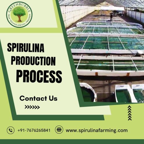 Large Scale Spirulina Cultivation by Green Bubble Algal Works