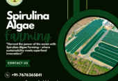 Large Scale Spirulina Cultivation by Green Bubble Algal Works