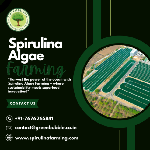 Large Scale Spirulina Cultivation by Green Bubble Algal Works