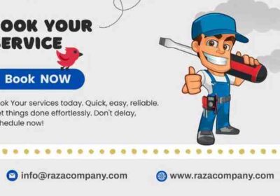 Raza-company-poster-sony-laptop