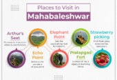 Top 10 Places to Visit in Mahabaleshwar in Winter